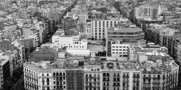 Delitos Contra la Propiedad / Urbanísticos en Murcia · Parcelación en Suelo No Edificable